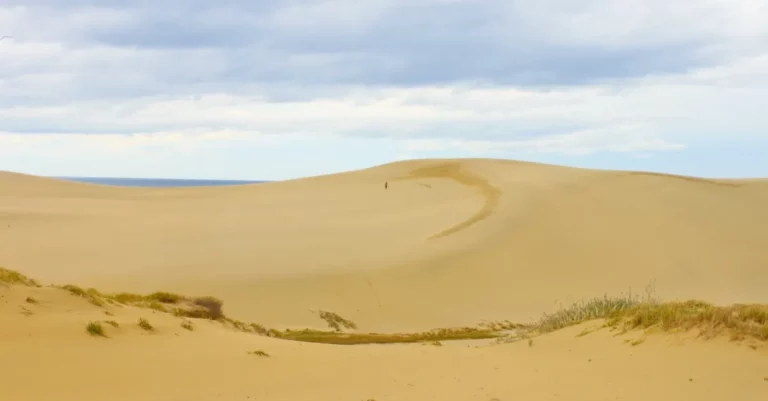Weite Sanddünen von Tottori unter bewölktem Himmel