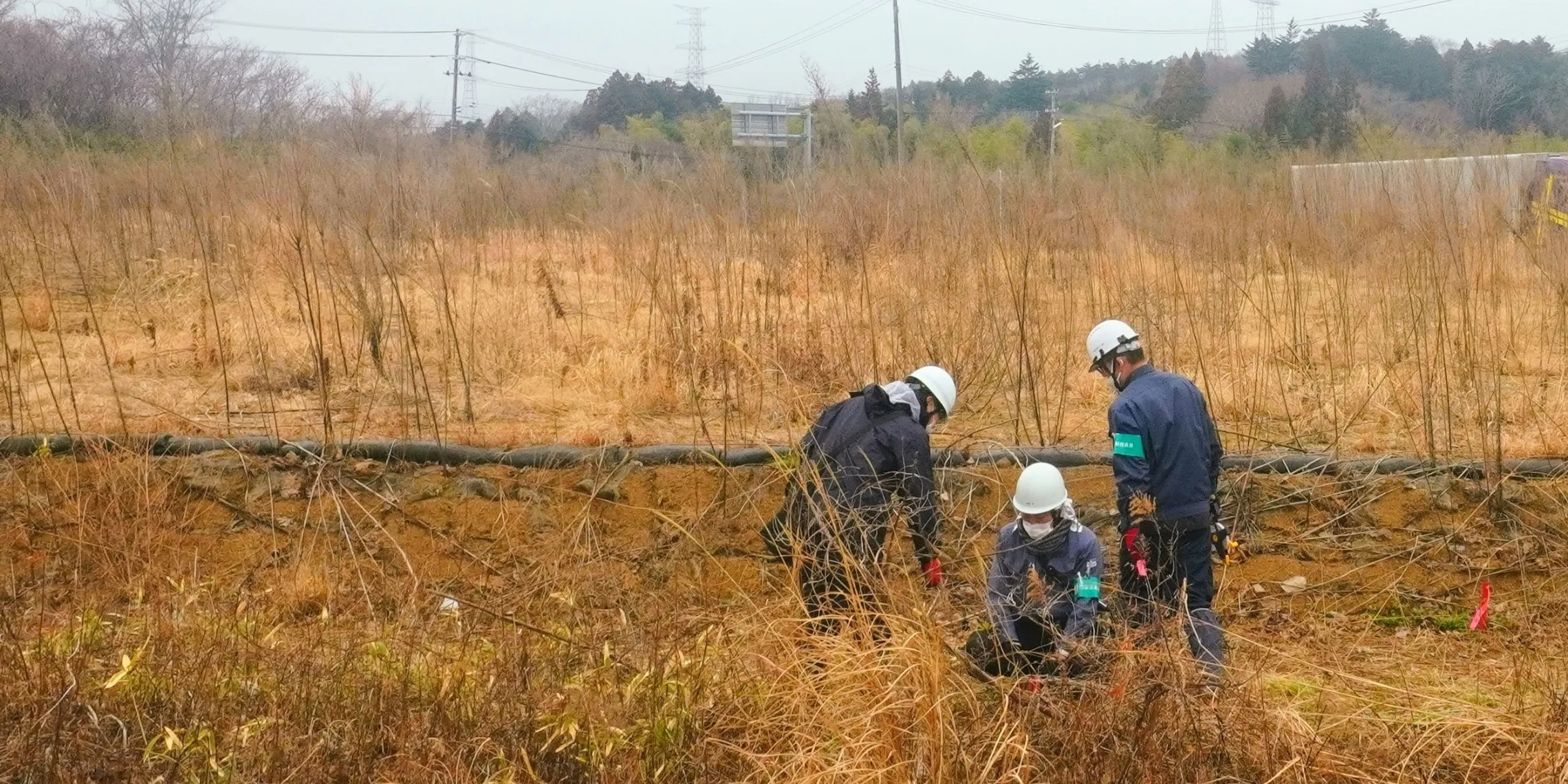 Arbeiter in Schutzuniformen dekontaminieren einen Landstrich nahe dem Atomkraftwerk Fukushima. Februar 2026