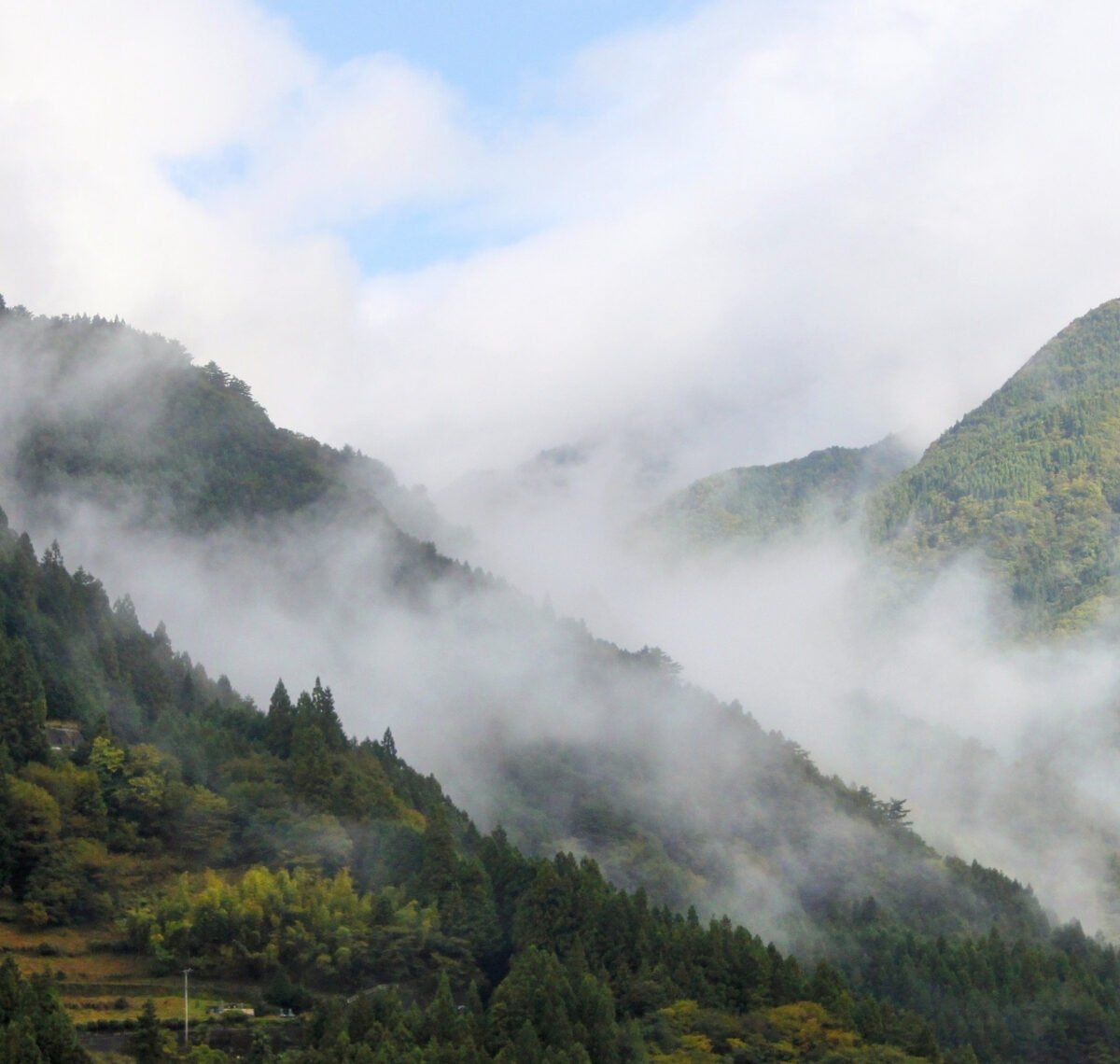 Wolkenverhangene Wälder im Iya Valley auf Shikoku
