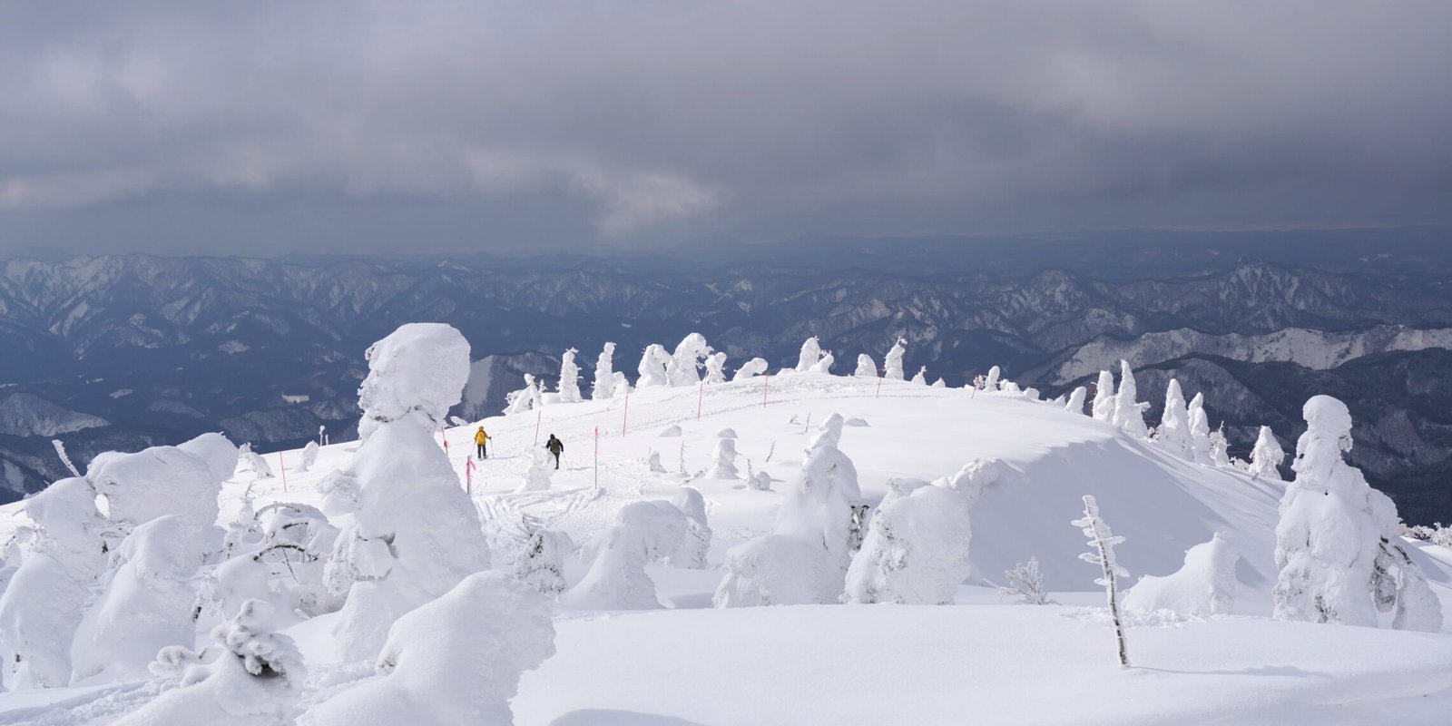 Die Schneemonster auf Mount Moriyoshi, von Rauhreif bedeckte Bäume